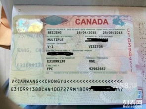 專(zhuān)業(yè)代辦美國(guó)、加拿大、澳大利亞、新西蘭等國(guó)簽證服務(wù)