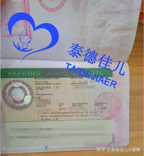 烏克蘭簽證辦理指南 試管醫療簽證、落地簽政策與代辦服務解析