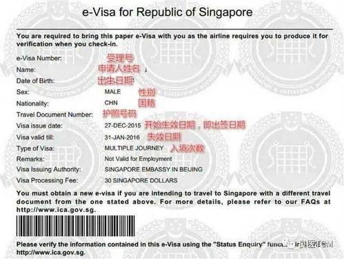 急難愁盼有回響 上海公安推出遠(yuǎn)程代辦服務(wù)，破解海外同胞身份證換證難題